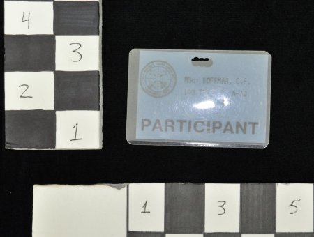 Badge, Identification                   