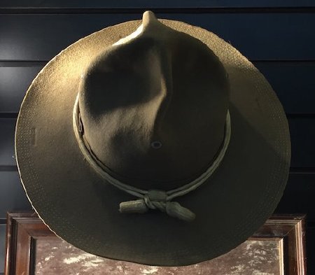 Hat, Campaign                           