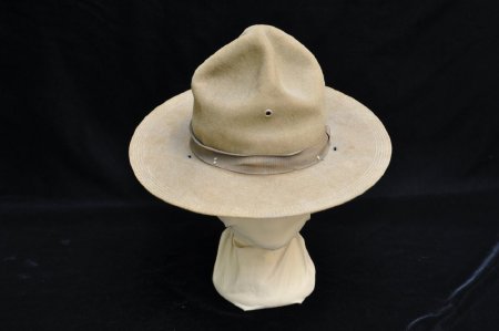 Hat, Campaign                           