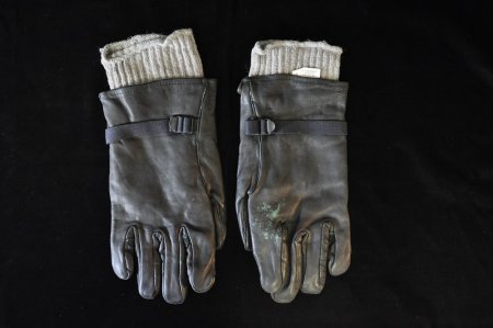 Glove                                   